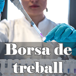 Borsa de treball