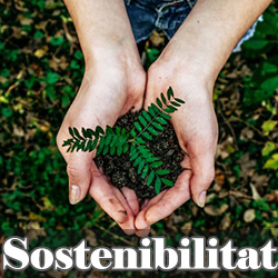 Sostenibilitat ambiental